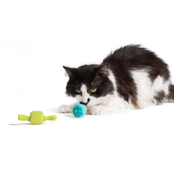 Taffy Rolls Cat Toy - Image 5